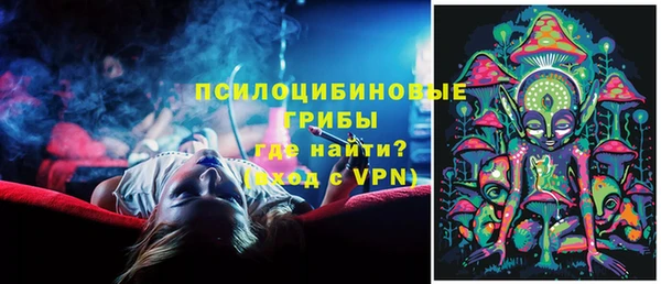 гидра Алзамай
